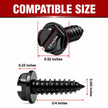 Stainless Steel License Plate Screws with Rustproof Finish