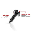 Stainless Steel License Plate Screws with Rustproof Finish