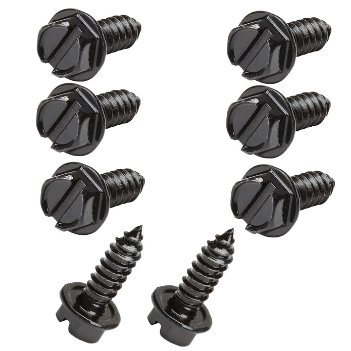 Stainless Steel License Plate Screws with Rustproof Finish