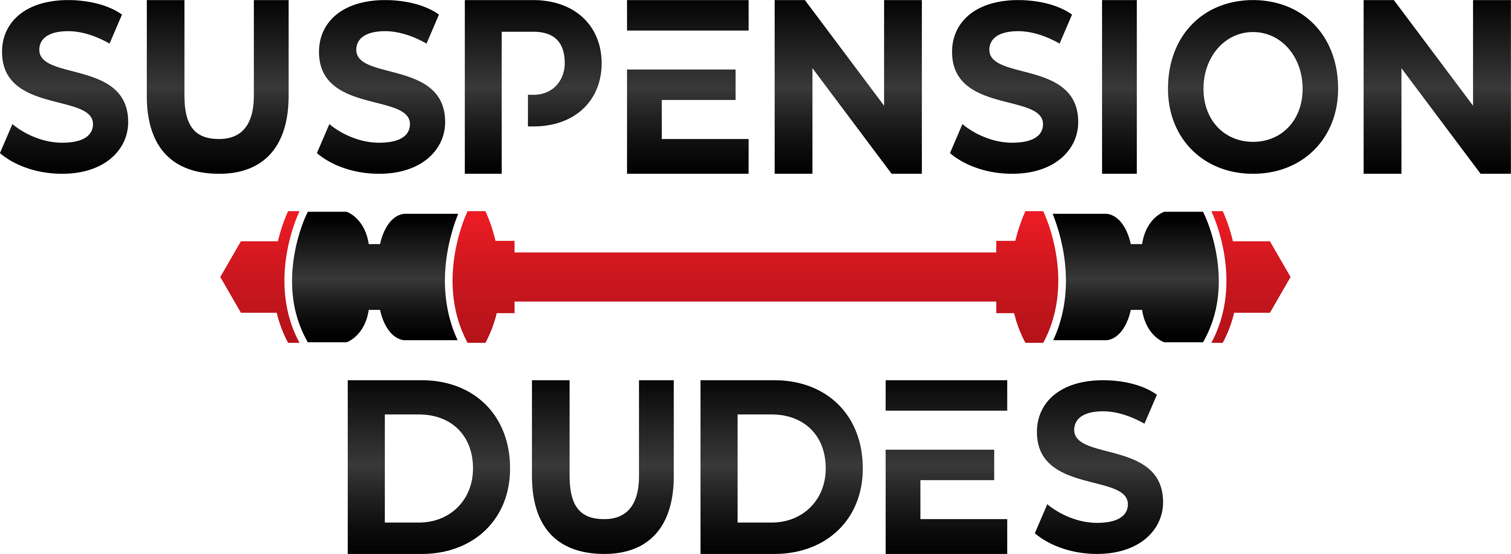 News SuspensionDudes